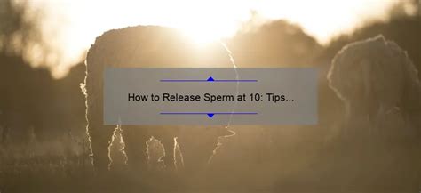 How To Release Sperm At 10 Tips And Techniques For Early Ejaculators Spermblog