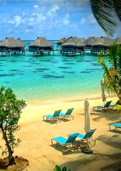 Hilton Moorea | Moorea island, Oman beach, Hilton moorea