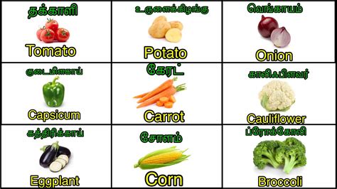 Vegetables Names With Pictures In English And Tamil