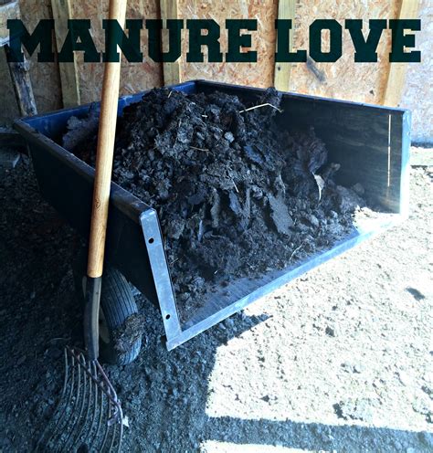 How To Turn Manure Into Soil Farm Fresh For Life Real Food For