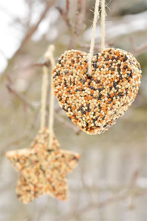 How To Make Birdseed Ornaments Easy Birdseed Ornaments Recipe