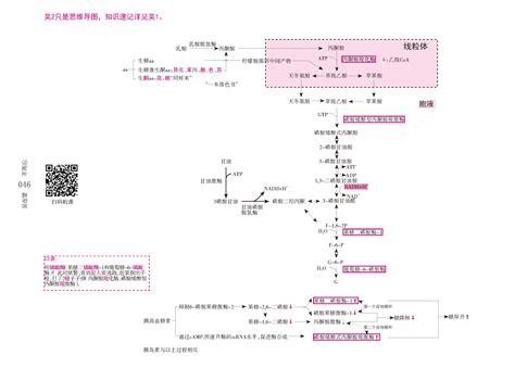 生物化学脂类代谢思维导图重点汇总串讲必备 哔哩哔哩