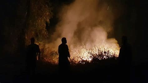 Continuaban Activos Varios Incendios En Las Islas Frente A Rosario