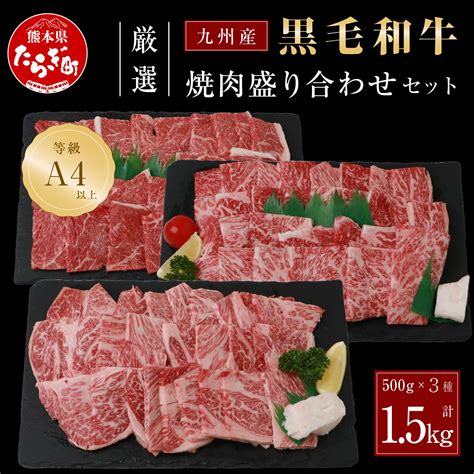 九州産 黒毛和牛 厳選 焼肉 盛り合わせ セット 約15㎏ A4 A5 熊本県多良木町｜jre Mallふるさと納税