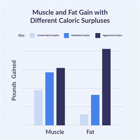 The Ultimate Muscle Growth Nutrition Guide Myworkouts Io