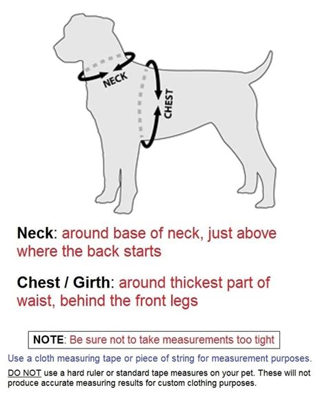 How To Measure A Dog For A Harness Petswall