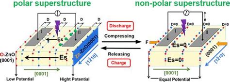 101̅0取向zno单晶光增强压电效应的观察acs Applied Electronic Materials X Mol