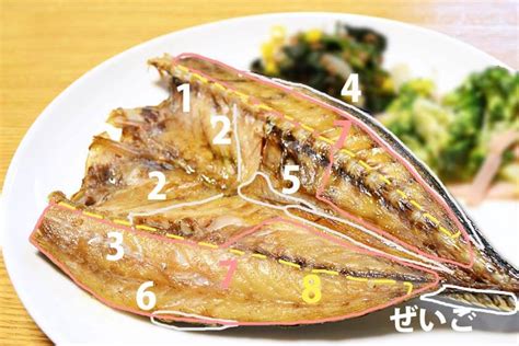 干物の上手な身のとり方・食べ方 門司港の海産物屋 白石商店