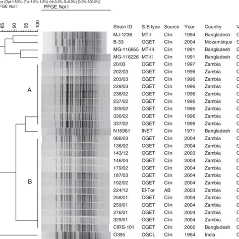 Dendrogram Constructed From The Pfge Profiles Generated By