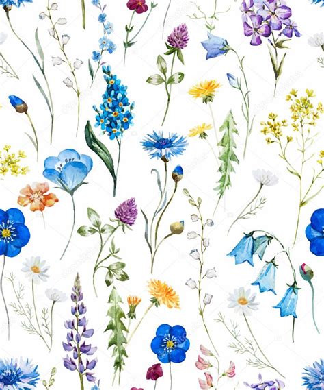 Watercolor Wild Flowers Pattern Stock Vector Zeninaasya