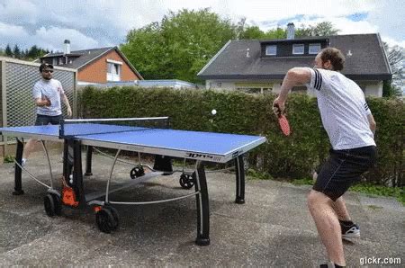 Ping Pong Ping Pong Discover And Share Gifs