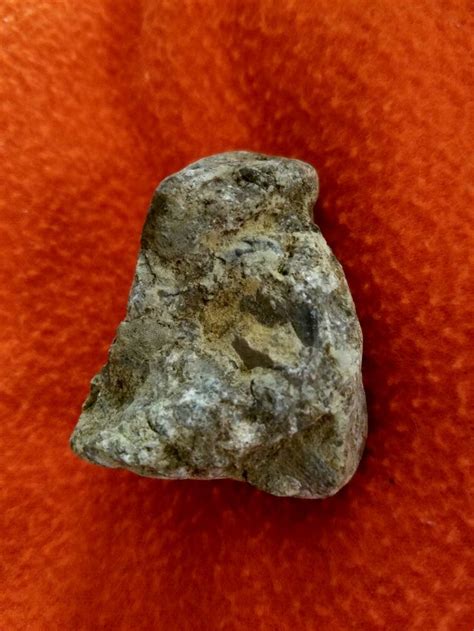 Cute Native American Bird Stone Found In Northern Ky Paleolithic Art