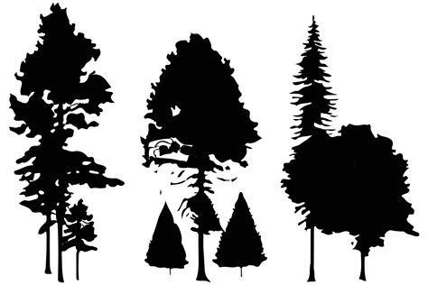 trees and forest silhouettes set isolated vector illustration 20920084 ...