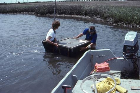 Sampling Photos Rutgers University Marine Field Station