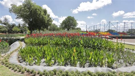 JARDINS FILTRANTES João Campos entrega requalificação do Parque do