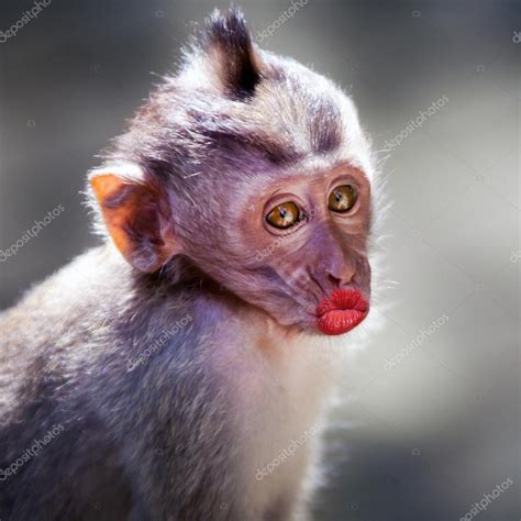 Monkey Lips Meme