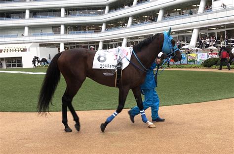 Jra Fun On Twitter 中山4rに、コウキチョウサン。 あのハードル界の絶対王者 オジュウチョウサン の弟が、2回目の