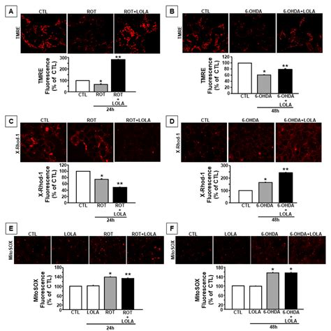 Mitochondrial Functional Parameters In SH SY5Y Cells Exposed To ROT And