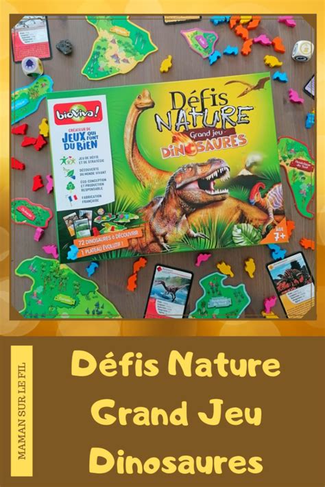 D Fis Nature Grand Jeu Dinosaures Chez Bioviva Jeu Maman Sur Le Fil