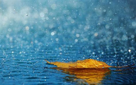 Rain HD Wallpaper (75+ images)