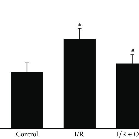 MDA levels of retinal tissue nmol MDA mg protein í µí