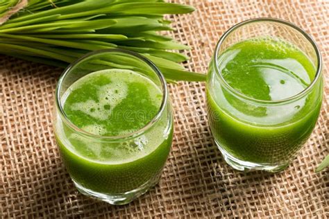 Two Shots of Barley Grass Juice with Homegrown Barley Grass Stock Image ...