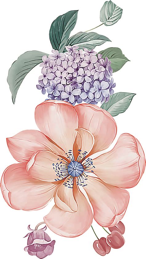 Pin By K S Collection On Flowers Flower Prints Art Botanical Flower