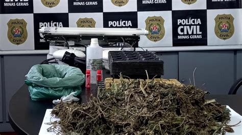 Pol Cia Civil Encontra Laborat Rio Usado Para Cultivo De Drogas Em