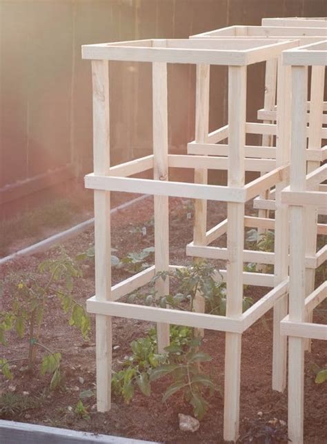 Diy Tomato Cage Trellis Stake Ideas Balcony Garden Web