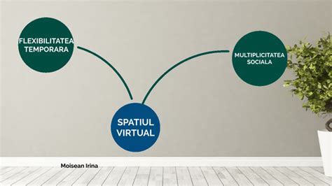 Spatiul Virtual By Irina Moisean On Prezi