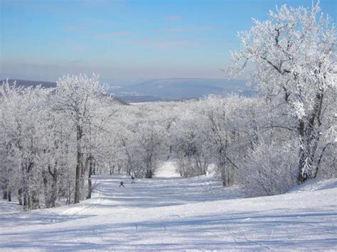 Blue Knob State Park & Ski Resort