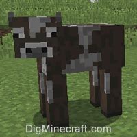 Cow in Minecraft