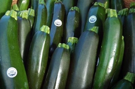 10 Summer Squash Varieties: Some You Know, Some You Don't - Modern Farmer