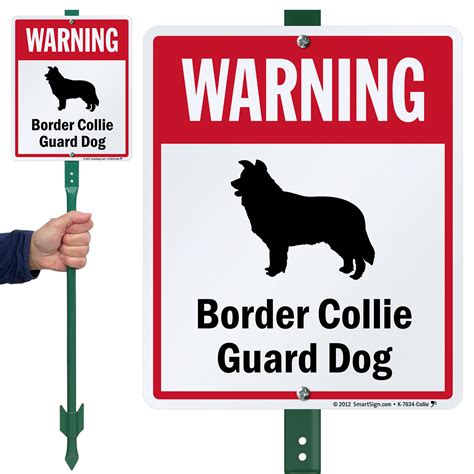 Warning Border Collie Guard Dog Sign & Stake Kit for Yard, SKU: K-7634-COLLIE