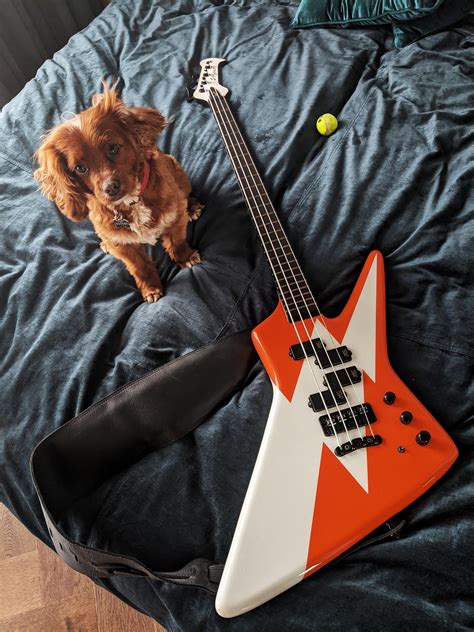 Best Stryker Images On Pholder Military Porn Nerf And Tank Porn