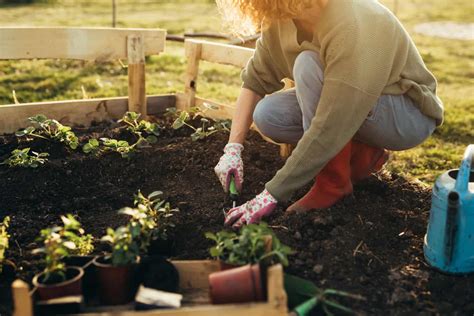 Benefits of gardening