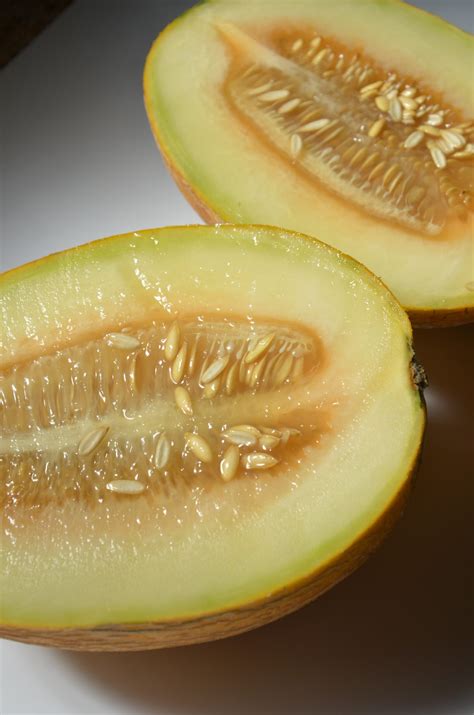 Jugo De Nopal 7