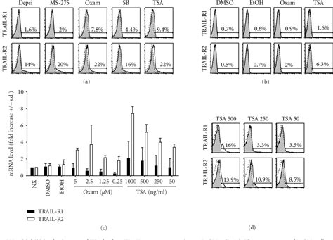 Figure 1 From Synergistic Induction Of Apoptosis In Primary B Cll Cells