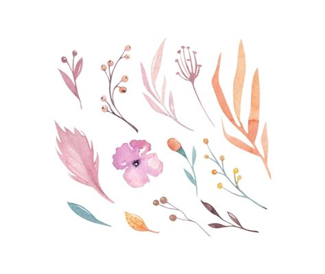 Aquarelle Automne Clipart Wildflower Clipart Orange Feuilles Vecteur