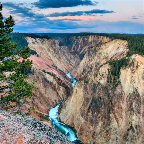 Yellowstone Grand Canyon Wall Art | Photography