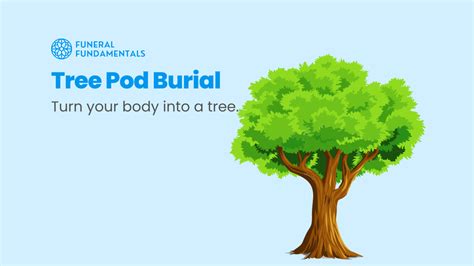 Tree Pod Burial: How To Turn Your Body Into A Tree After Death