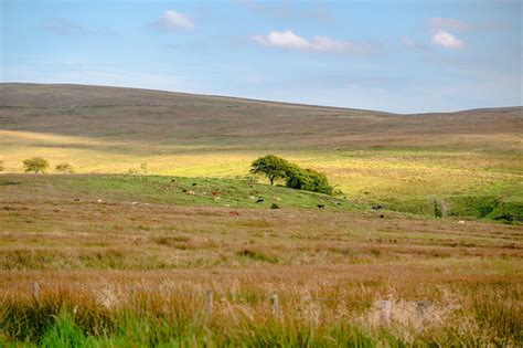 Let There Be Light The Moorland On Divis High Above Th Flickr