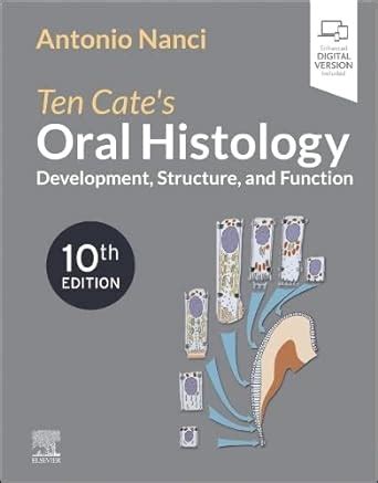 Ten Cate S Oral Histology Development Structure And Function