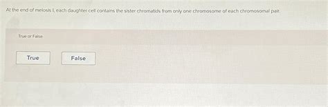 Solved At the end of meiosis I, each daughter cell contains | Chegg.com