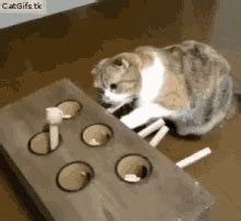 Whack A Mole Gif GIFs | Tenor