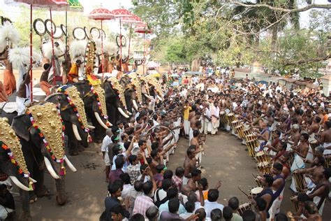 Kerala's Temple and Elephant Festivals: Essential Guide