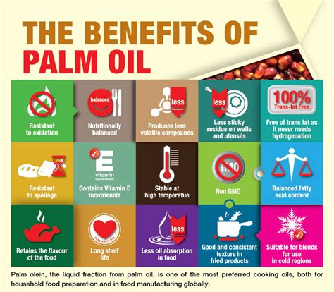 #1 The Benefits of Palm Oil - News From Mission - Embassy of Malaysia