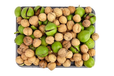 Nueces Con C Scara En Pericarpio Agrietado En Bandeja Aislada Sobre