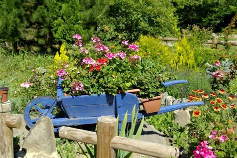 27 Wheelbarrow Planter Ideas Garden Outline