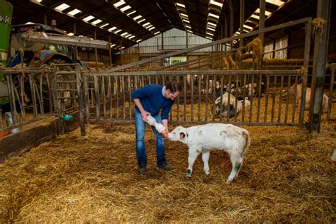 Combien Gagnent Les Agriculteurs Dans L Union Europ Enne